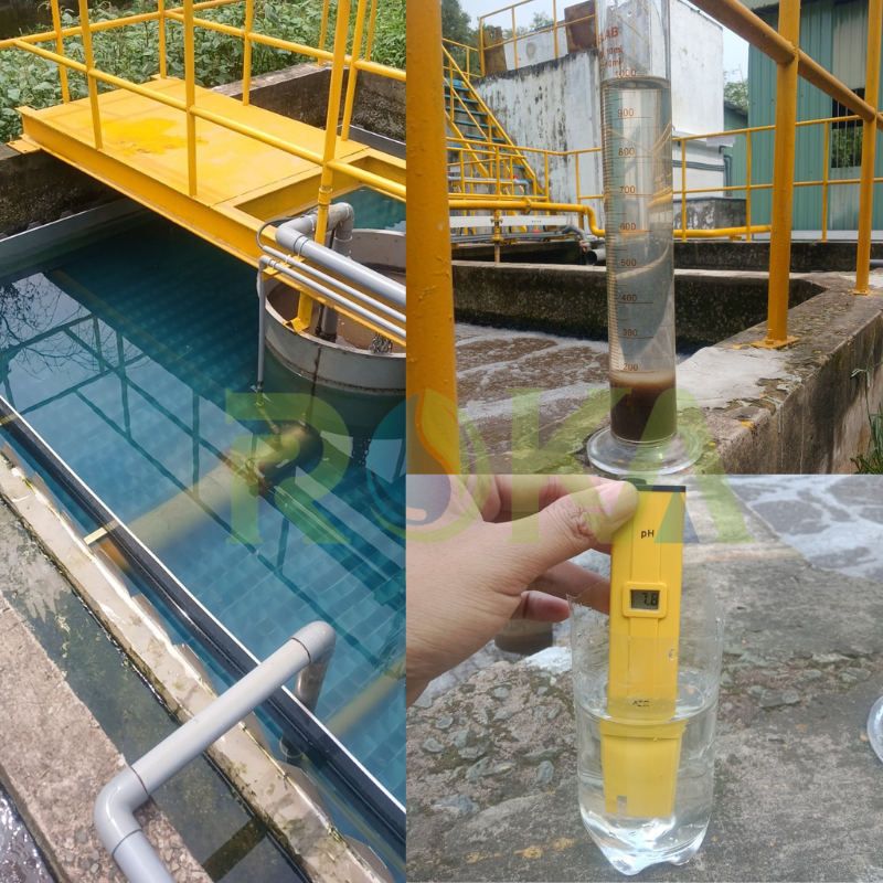 Kiểm tra chất lượng nước